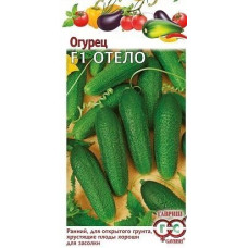 Огурец Отелло F1