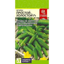 Огурец Простой холостой F1