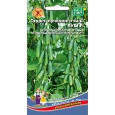 Огурец Бум - пучкового типа  