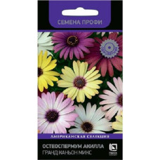 Остеоспермум Акилла Гранд Каньон Микс (Поиск)