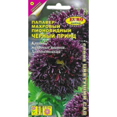Папавер (мак) махровый пионовидный Черный Принц 