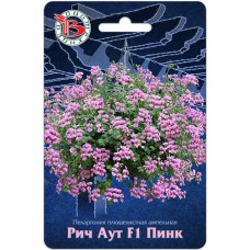 Пеларгония плющелистная ампельная Рич Аут F1 Пинк