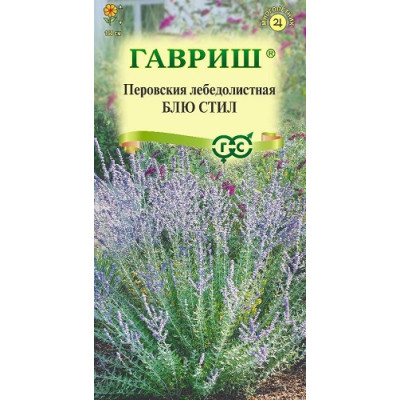 Перовская лебедолистная Блю Стил