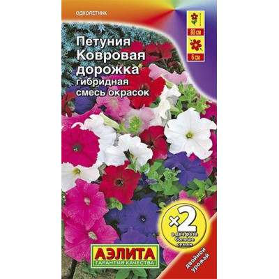 Петуния Ковровая дорожка, смесь сортов