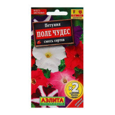 Петуния Поле чудес многоцветковая, смесь сортов