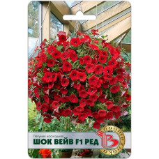 Петуния Шок Вейв F1 Ред  