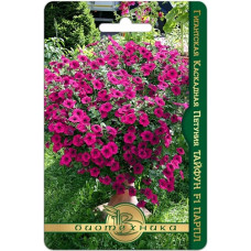 Петуния Тайфун F1 Парпл  