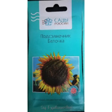 Подсолнечник Белочка (Сады России)