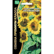 Подсолнечник Третьяковский