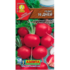 Редис 16 дней