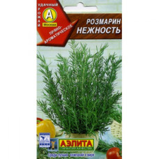 Розмарин Нежность