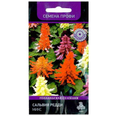 Сальвия (сверкающая) Редди Микс (Поиск)