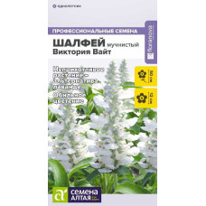 Шалфей Виктория Вайт