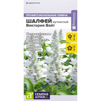 Шалфей Виктория Вайт