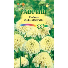 Скабиоза темнопурпурная Фата-моргана махровая