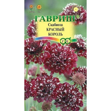 Скабиоза темнопурпурная Красный король махровая