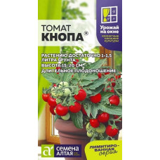 Томат Кнопа