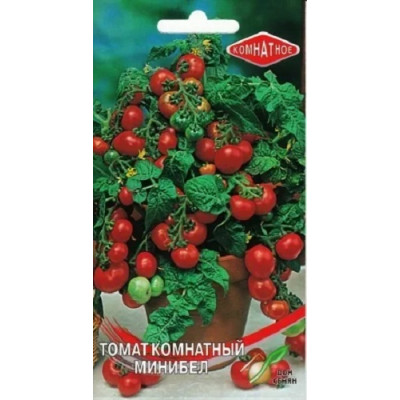 Томат комнатный Минибел 