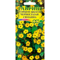 Тунбергия крылатая Черноглазая Сюзанна