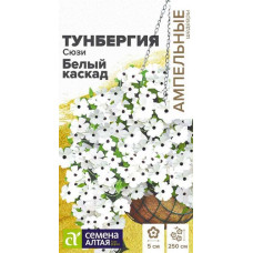 Тунбергия Сюзи Белый каскад