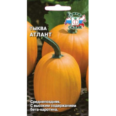 Тыква Атлант