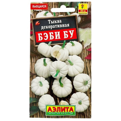 Тыква Бэби Бу