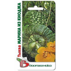 Тыква Марина из Киоджа  