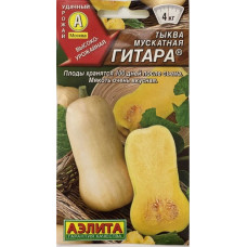 Тыква мускатная Гитара
