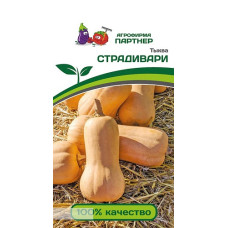 Тыква СТРАДИВАРИ