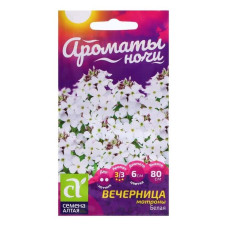 Хесперис Вечерница Матроны  Белая