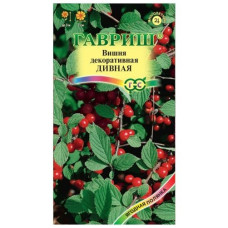 Вишня Дивная (войлочная) (Гавриш)