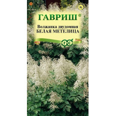 Волжанка двудомная Белая Метелица