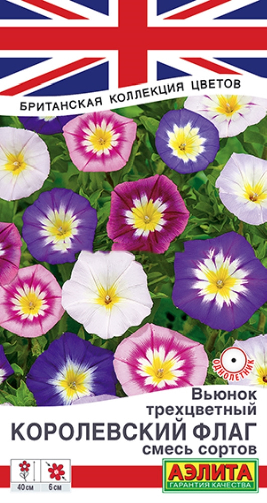 Вьюнок Королевский флаг, смесь сортов купить с доставкой в интернет ...