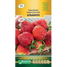 Земляника Альбион 