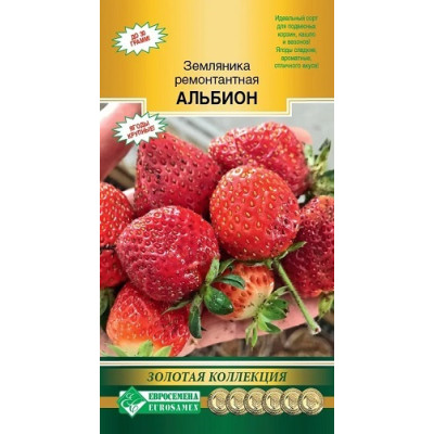 Земляника Альбион 