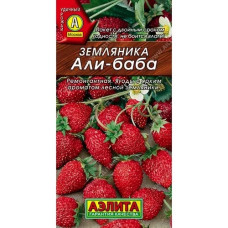 Земляника Али-Баба