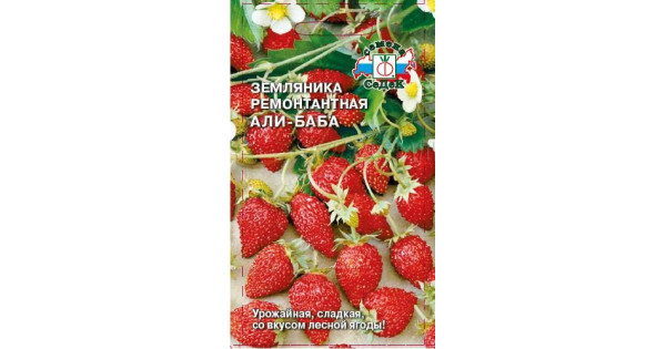 Земляника Али-Баба купить с доставкой в интернет-магазине Чистый Мир.