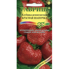 Земляника Красная шапочка  