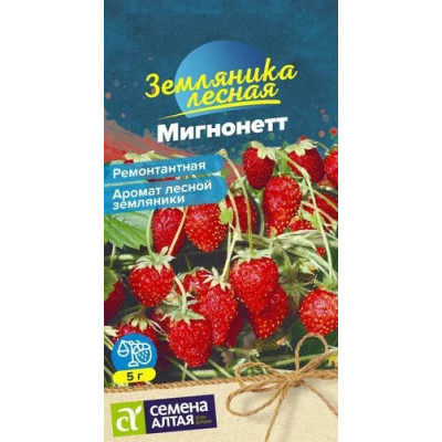 Земляника Мигнонетт