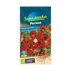 Ягода Регина ремонтантная земляника (Семена Алтая)