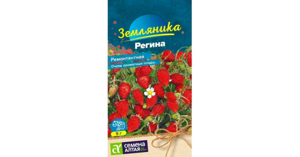 Ягода Регина ремонтантная земляника (Семена Алтая) купить с доставкой в ...