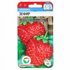 Земляника Зефир (клубника)