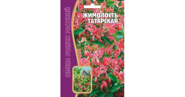 Жимолость Татарская купить с доставкой в интернет-магазине Чистый Мир.