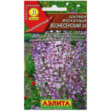 Шалфей мускатный Вознесенский 24