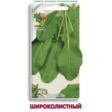 Щавель Широколистный