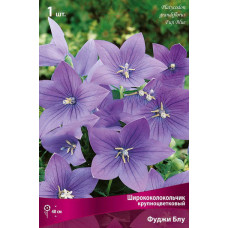 Ширококолокольчик крупноцветковый Фуджи Блу 