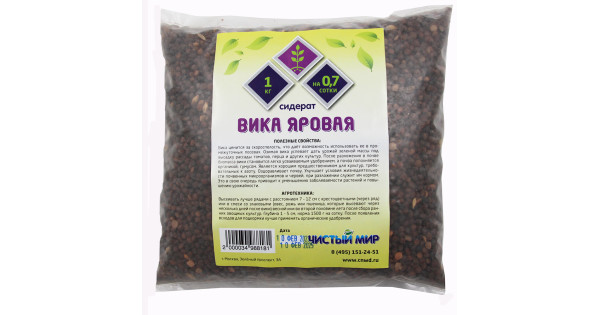 Олар тесіктеріне не салады? Толық экранды сурет