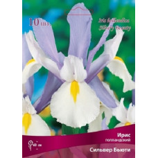 Ирис  Сильвер Бьюти (голландский)