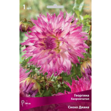 Георгина Снохо Диана (бахромчатая)