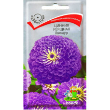Цинния изящная Лавендер